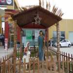 mirlot de Chiclayo