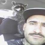 Foto de perfil de david en Culiacán
