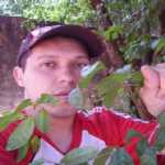 nando de Luque