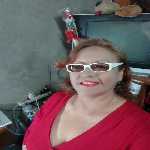 paloma blanca de Tacna