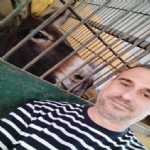 Foto de perfil de alberto martín nieto en Roquetas de Mar