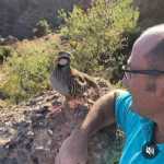 Foto de perfil de Flabio en Granada