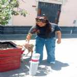 Foto de perfil de Mayte en Arequipa