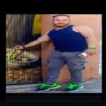 Foto de perfil de Ismael en Mérida